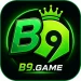 B9 Game